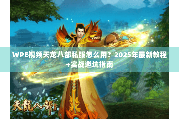 WPE视频天龙八部私服怎么用？2025年最新教程+实战避坑指南