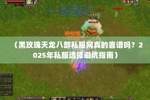 （黑玫瑰天龙八部私服网真的靠谱吗？2025年私服选择避坑指南）
