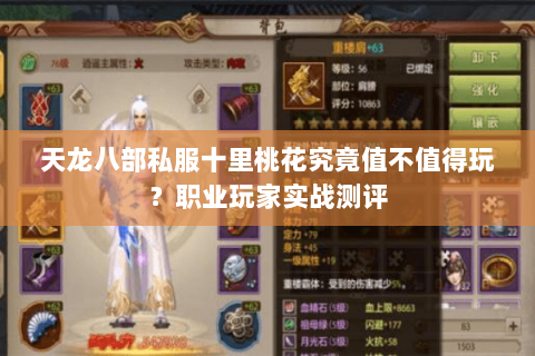 天龙八部私服十里桃花究竟值不值得玩？职业玩家实战测评