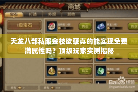 天龙八部私服金枝欲孽真的能实现免费满属性吗？顶级玩家实测揭秘