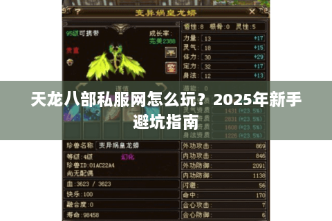 天龙八部私服网怎么玩？2025年新手避坑指南