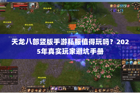 天龙八部竖版手游私服值得玩吗？2025年真实玩家避坑手册