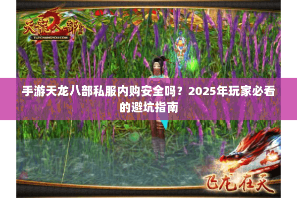 手游天龙八部私服内购安全吗？2025年玩家必看的避坑指南