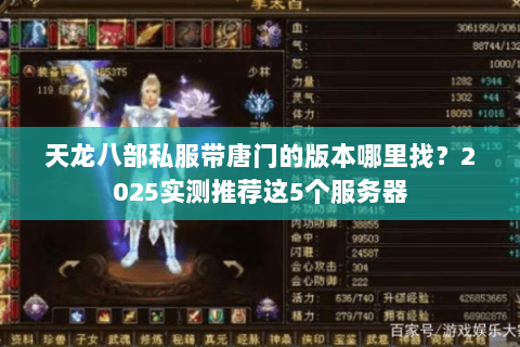 天龙八部私服带唐门的版本哪里找？2025实测推荐这5个服务器