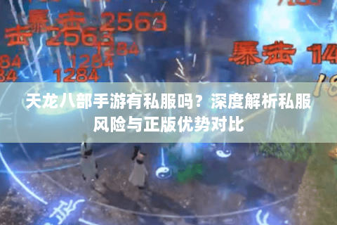 天龙八部手游有私服吗？深度解析私服风险与正版优势对比