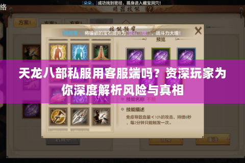 天龙八部私服用客服端吗？资深玩家为你深度解析风险与真相