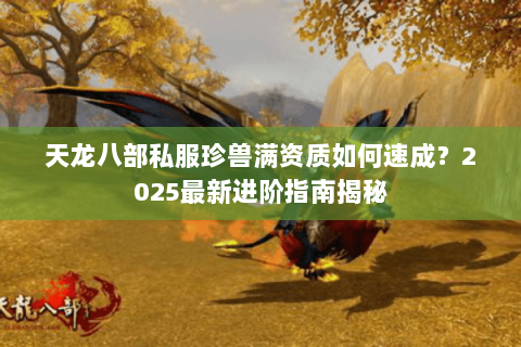 天龙八部私服珍兽满资质如何速成？2025最新进阶指南揭秘