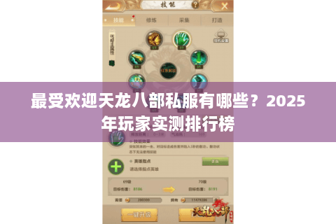 最受欢迎天龙八部私服有哪些？2025年玩家实测排行榜