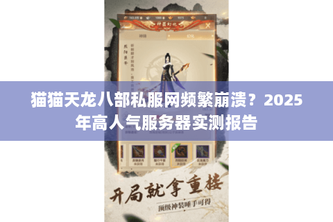 猫猫天龙八部私服网频繁崩溃？2025年高人气服务器实测报告