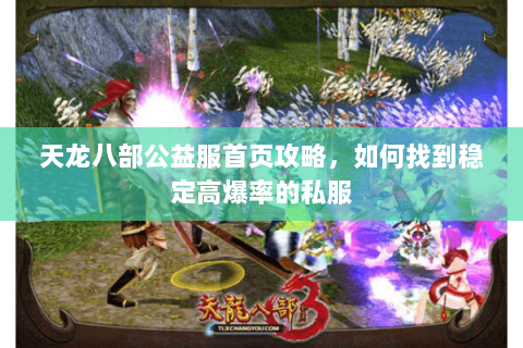 天龙八部公益服首页攻略，如何找到稳定高爆率的私服