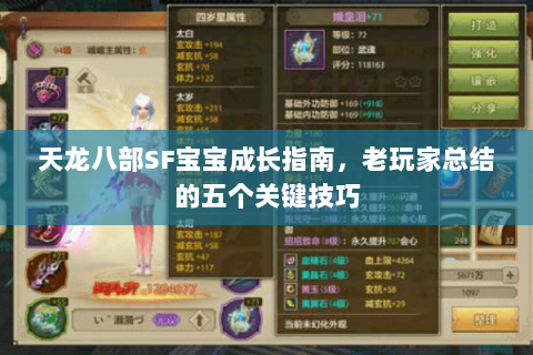 天龙八部SF宝宝成长指南，老玩家总结的五个关键技巧