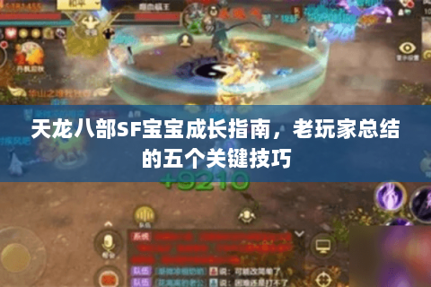 天龙八部SF宝宝成长指南，老玩家总结的五个关键技巧