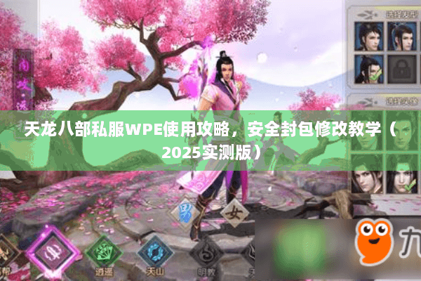 天龙八部私服WPE使用攻略，安全封包修改教学（2025实测版）