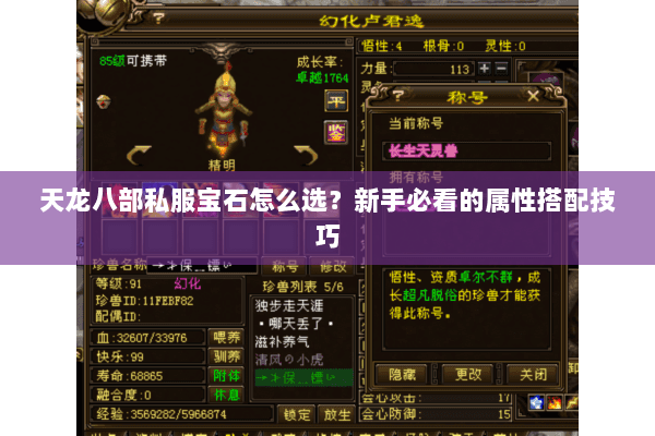 天龙八部私服宝石怎么选？新手必看的属性搭配技巧