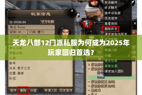 天龙八部12门派私服为何成为2025年玩家回归首选？