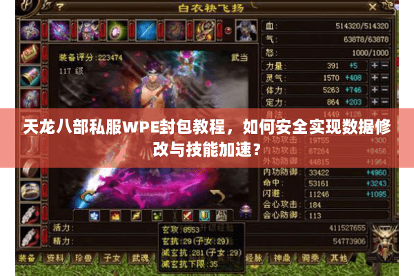 天龙八部私服WPE封包教程，如何安全实现数据修改与技能加速？
