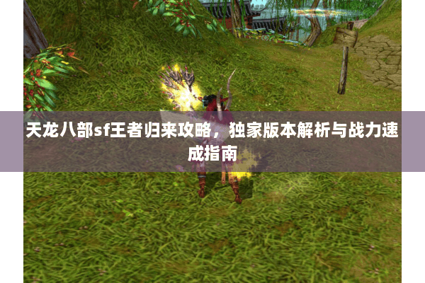 天龙八部sf王者归来攻略，独家版本解析与战力速成指南