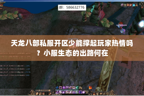 天龙八部私服开区少能撑起玩家热情吗？小服生态的出路何在