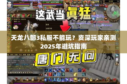 天龙八部3私服不能玩？资深玩家亲测2025年避坑指南