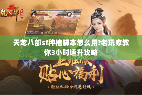 天龙八部sf种植脚本怎么用?老玩家教你3小时速升攻略