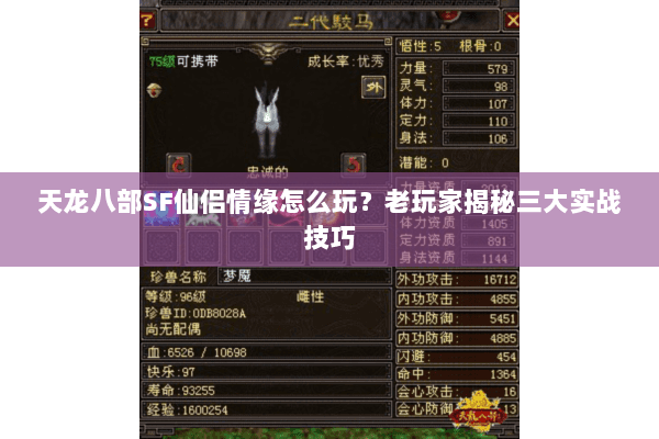 天龙八部SF仙侣情缘怎么玩？老玩家揭秘三大实战技巧