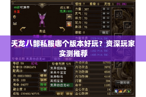 天龙八部私服哪个版本好玩？资深玩家实测推荐
