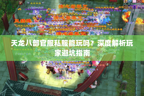 天龙八部官服私服能玩吗？深度解析玩家避坑指南
