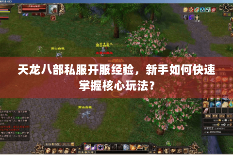 天龙八部私服开服经验，新手如何快速掌握核心玩法？