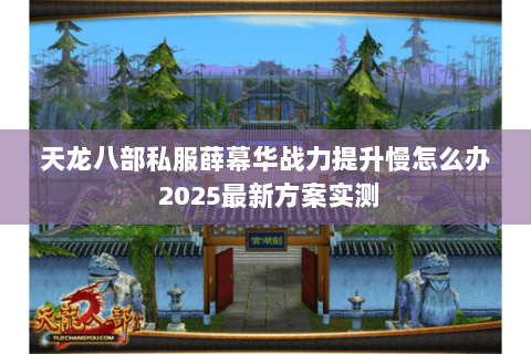 天龙八部私服薛幕华战力提升慢怎么办 2025最新方案实测