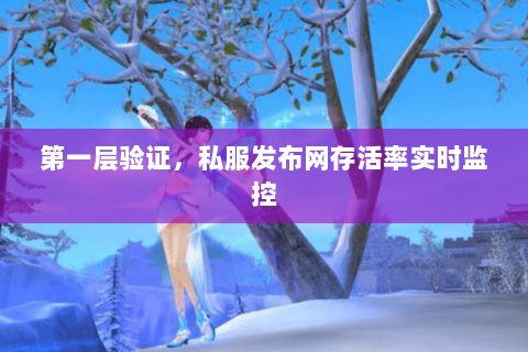 第一层验证,私服发布网存活率实时监控 第一层验证,私服发布网存活率实时监控