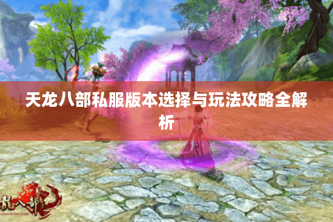 天龙八部私服版本选择与玩法攻略全解析