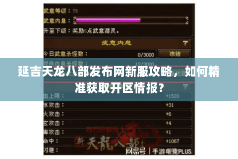 延吉天龙八部发布网新服攻略，如何精准获取开区情报？