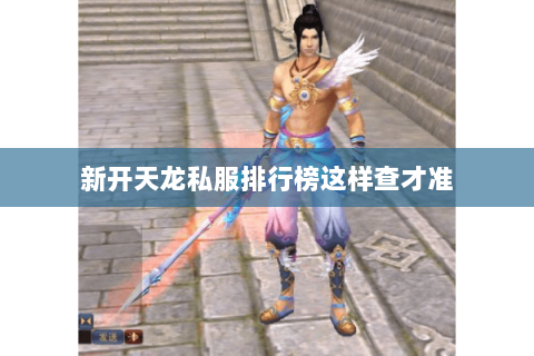 新开天龙私服排行榜这样查才准