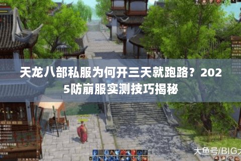 天龙八部私服为何开三天就跑路？2025防崩服实测技巧揭秘