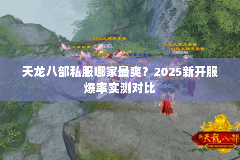 天龙八部私服哪家最爽？2025新开服爆率实测对比