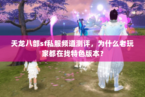 天龙八部sf私服频道测评，为什么老玩家都在找特色版本？