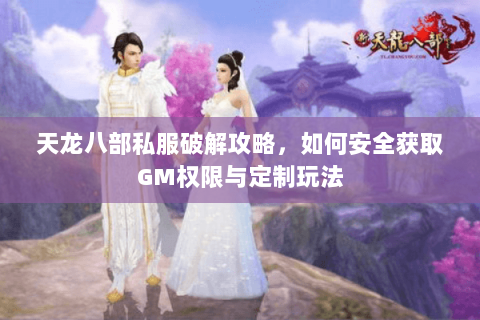 天龙八部私服破解攻略，如何安全获取GM权限与定制玩法