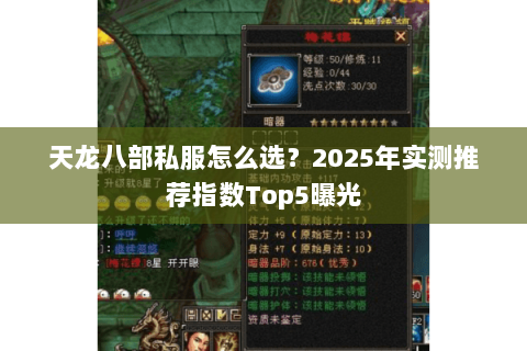 天龙八部私服怎么选？2025年实测推荐指数Top5曝光