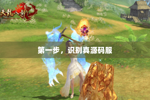 第一步,识别真源码服 第一步,识别真源码服