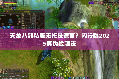 天龙八部私服无托是谎言？内行曝2025真伪检测法