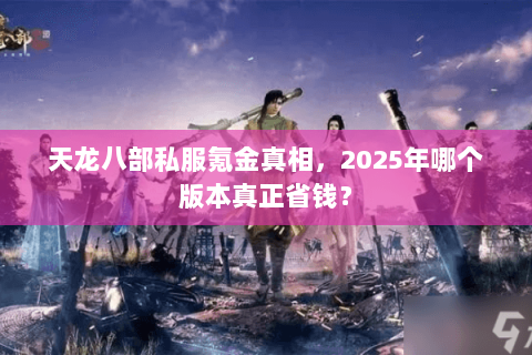 天龙八部私服氪金真相，2025年哪个版本真正省钱？