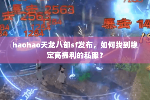 haohao天龙八部sf发布，如何找到稳定高福利的私服？
