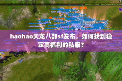 haohao天龙八部sf发布，如何找到稳定高福利的私服？