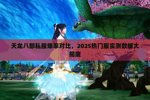 天龙八部私服爆率对比，2025热门服实测数据大揭底