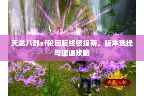 天龙八部sf轮回版终极指南，版本选择与速通攻略