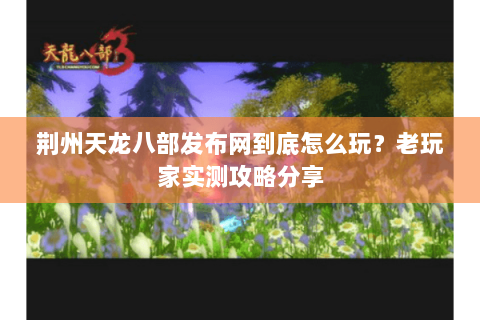 荆州天龙八部发布网到底怎么玩？老玩家实测攻略分享
