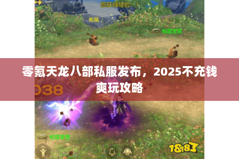 零氪天龙八部私服发布，2025不充钱爽玩攻略