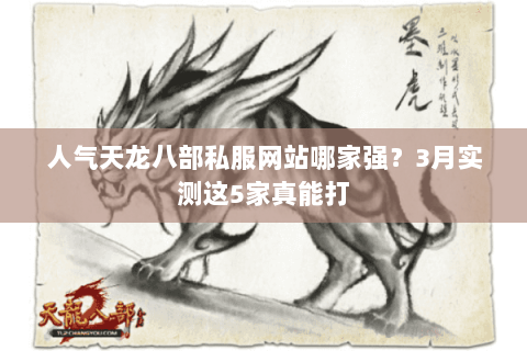人气天龙八部私服网站哪家强？3月实测这5家真能打