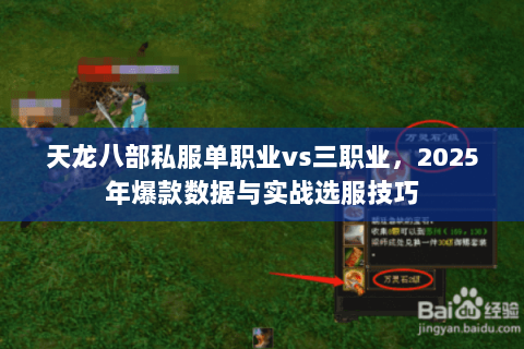 天龙八部私服单职业vs三职业，2025年爆款数据与实战选服技巧