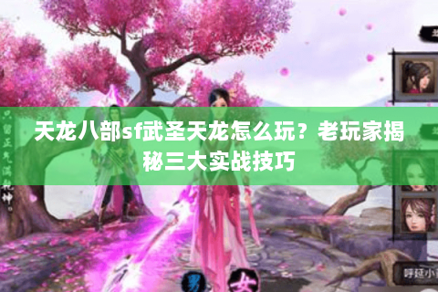天龙八部sf武圣天龙怎么玩？老玩家揭秘三大实战技巧